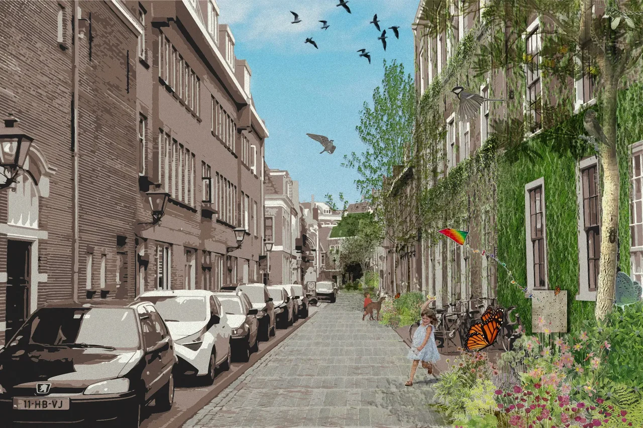 Illustration of a Dutch street with moss-covered house facades