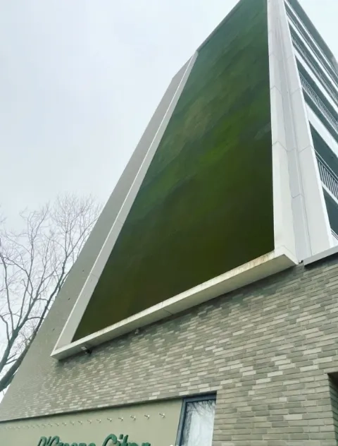 Tall building with a moss facade
