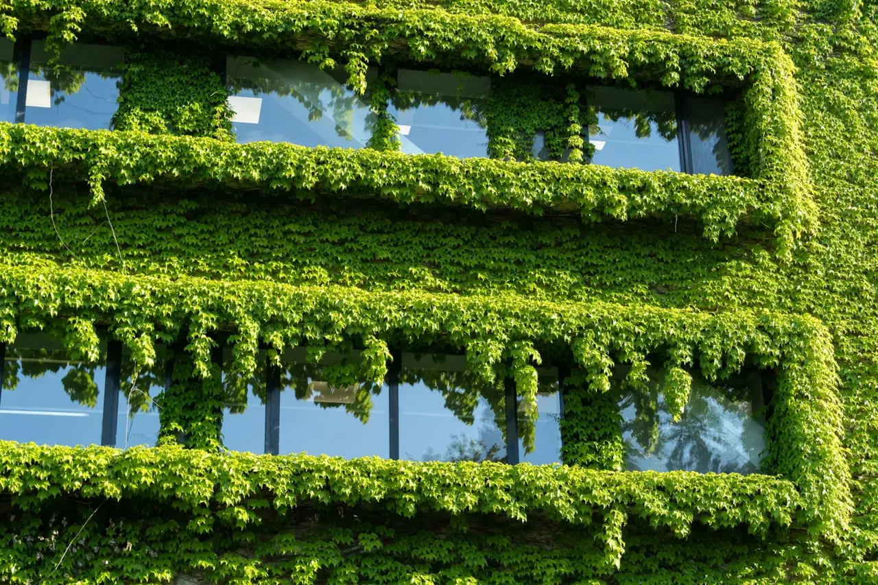 Facade covered in climbing plants