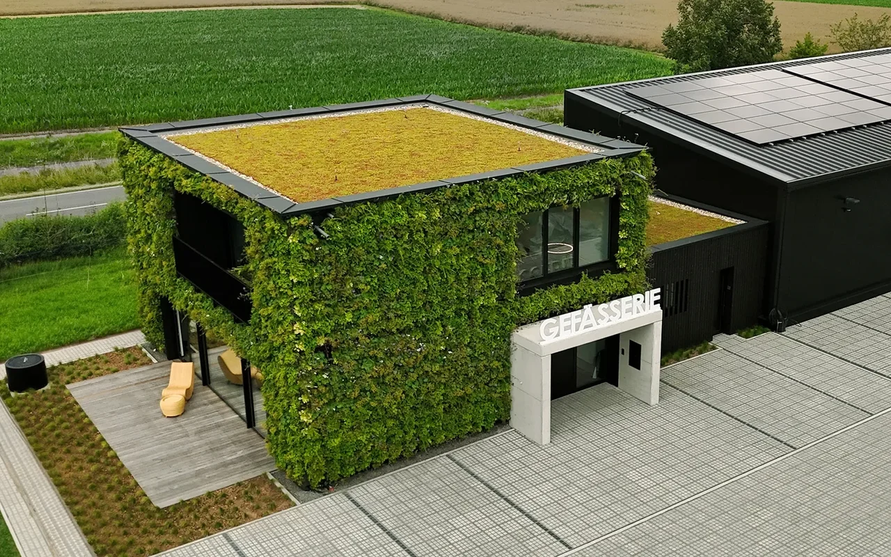 House with a green roof and a facade covered in plants