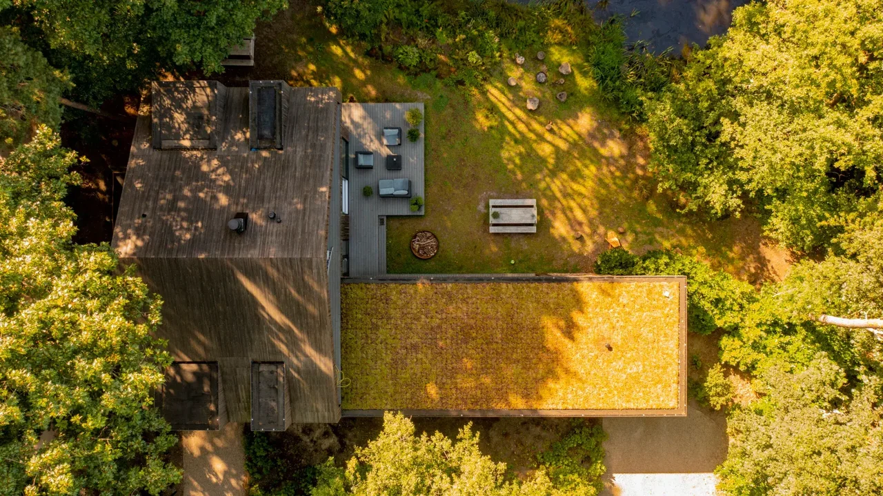 A roof covered with a dense green layer of moss