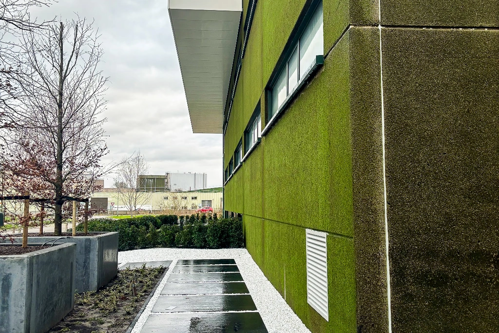 Moss-green concrete facade next to a paved walkway